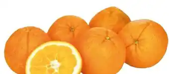 Transgourmet Orangen Angebot