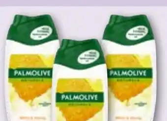 ADEG Duschgel Angebot