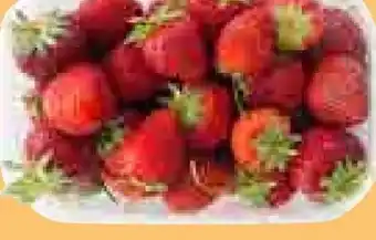 T&G Erdbeeren Angebot