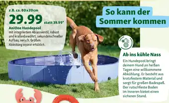 Fressnapf AniOne Hundepool Angebot