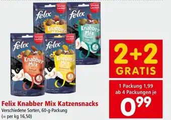 Interspar Felix Knabber Mix Katzensnacks Angebot