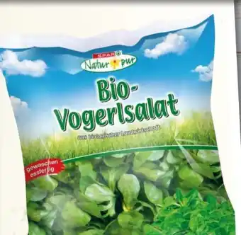 Spar Bio-Vogerlsalat Angebot