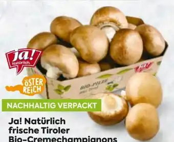 Billa Bio Cremechampignons Angebot