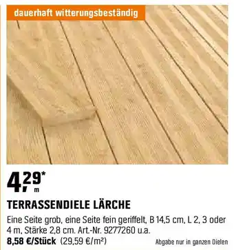 OBI TERRASSENDIELE LÄRCHE Angebot