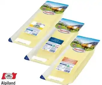 Metro Käsescheiben Angebot