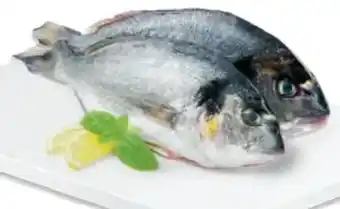 Metro Goldbrasse Angebot