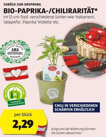 Hofer ZURÜCK ZUM URSPRUNG BIO-PAPRIKA-/CHILIRARITÄT Angebot