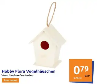Action Hobby Flora Vogelhäuschen Angebot