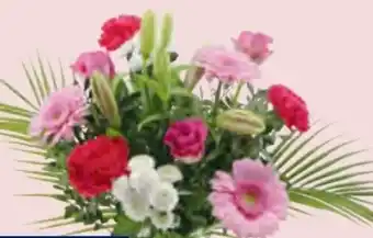 Hofer Muttertagsstrauß Alles Liebe Angebot