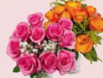 Hofer Rosenbouquet Angebot
