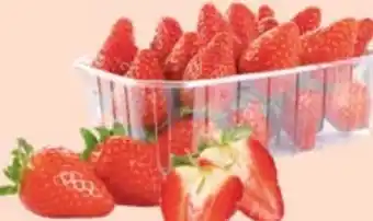 Maximarkt Erdbeeren Angebot