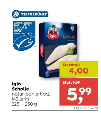 ADEG iglo Scholle 225-250g Angebot