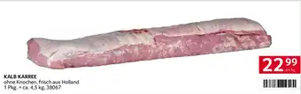 Transgourmet KALB KARREE Angebot