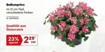 Lagerhaus Balkonprinz Angebot