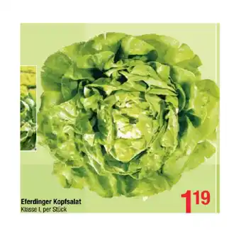 Maximarkt Eferdinger Kopfsalat Maximarkt 1 Stück Angebot