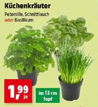 Thomas Philipps Küchenkräuter Angebot