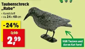 Thomas Philipps Taubenschreck Rabe Angebot