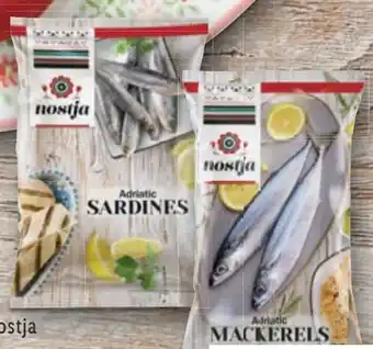 Lidl Adria Sardinen Angebot