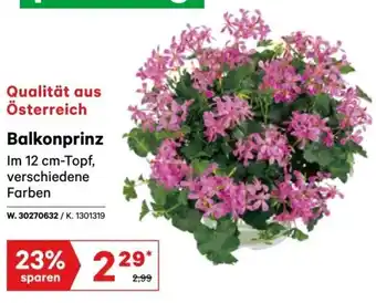 Lagerhaus Balkonprinz Angebot