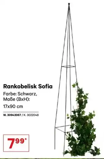 Lagerhaus Rankobelisk Sofia Angebot