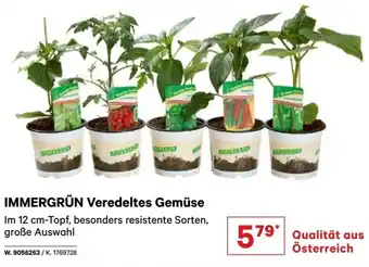 Lagerhaus Veredeltes Gemüse Angebot