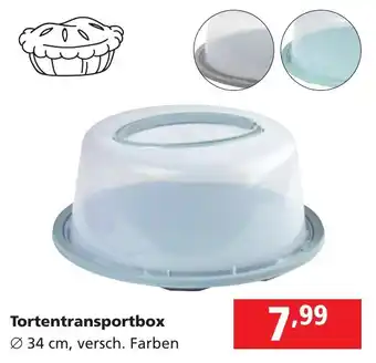 Pagro Diskont Tortentransportbox Angebot
