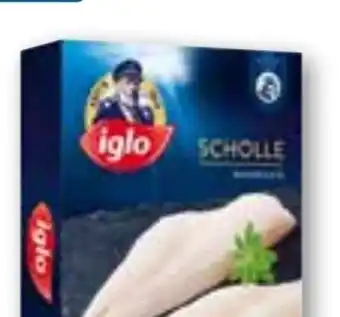 ADEG Scholle Angebot