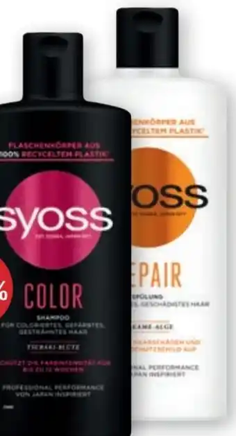 PENNY Shampoo Angebot