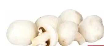 Transgourmet Champignons Angebot