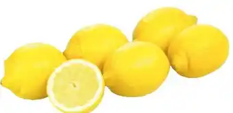 Transgourmet Zitronen Angebot