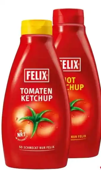 Transgourmet Ketchup Angebot