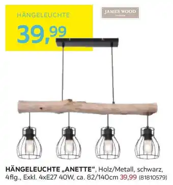 Möbelix HÄNGELEUCHTE ANETTE Angebot