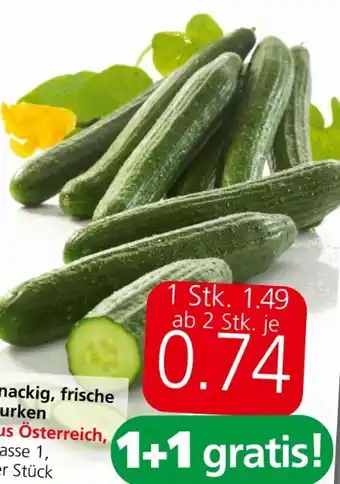 Spar Gurken Angebot