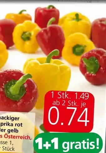 Spar Paprika Rot Angebot