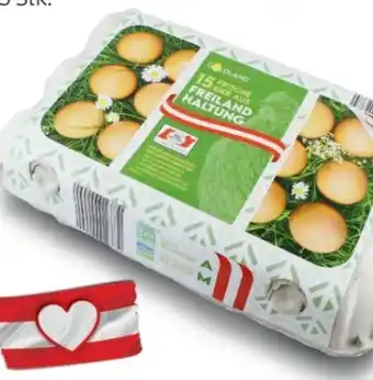 Hofer Eier Angebot