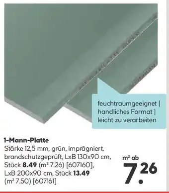 Hellweg 1-Mann-Platte Angebot