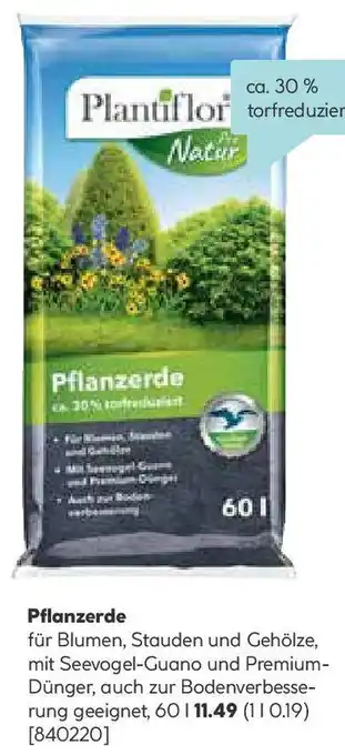 Hellweg Pflanzerde Angebot