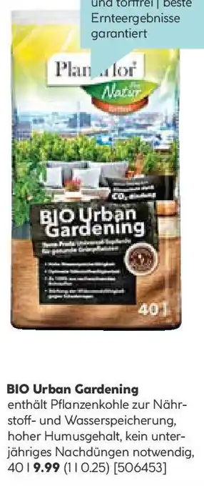 Hellweg BIO Urban Gardening Angebot