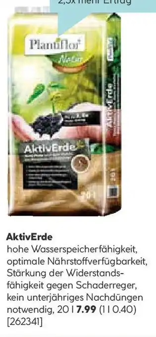 Hellweg AktivErde Angebot