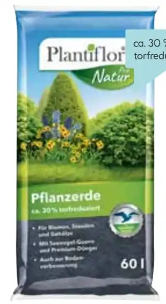 Hellweg Pflanzerde Angebot