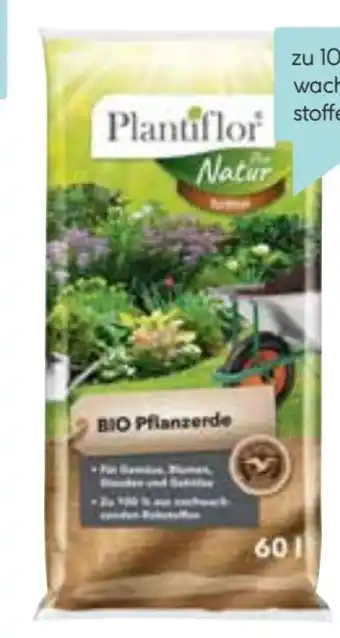 Hellweg Bio Pflanzerde Angebot