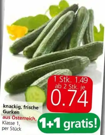 Spar knackig, frische Gurken Angebot