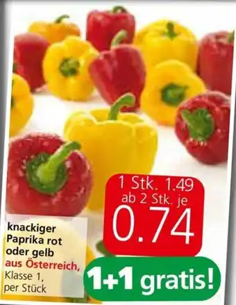 Spar knackiger Paprika rot oder gelb Angebot