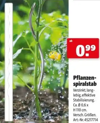 Hagebau Pflanzen- spiralstab Angebot