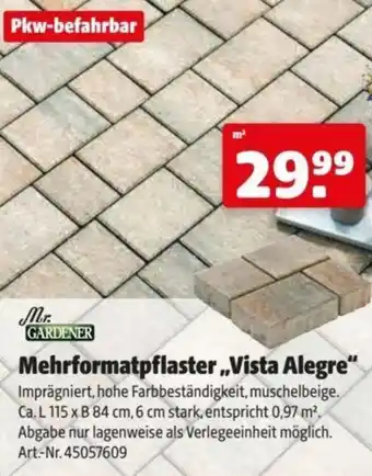 Hagebau Mehrformatpflaster Vista Alegre Angebot