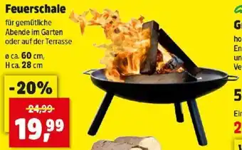 Thomas Philipps Feuerschale Angebot