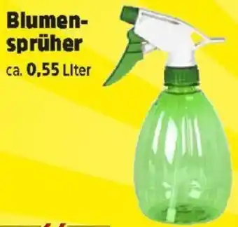 Thomas Philipps Blumen- sprüher Angebot