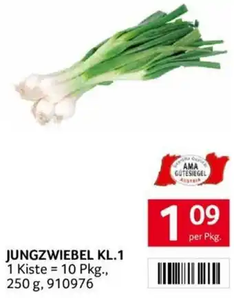Transgourmet JUNGZWIEBEL 250g Angebot