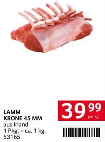Transgourmet LAMM KRONE 45 MM Angebot