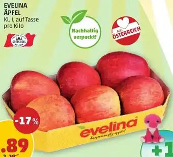 PENNY EVELINA ÄPFEL Angebot